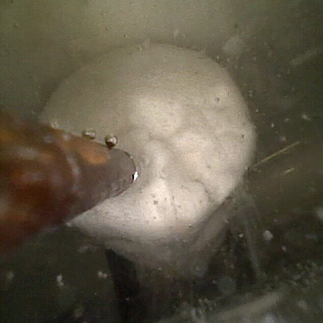 1761028683154501.gif 640.gif